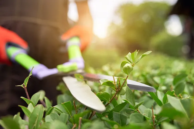 Mantenimiento de jardines